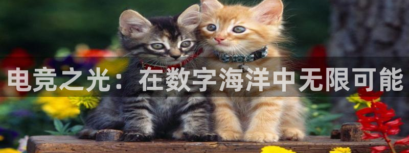 DB多宝电竞：电竞之光：在数字海洋中无限可能