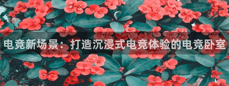 多宝电竞|Home