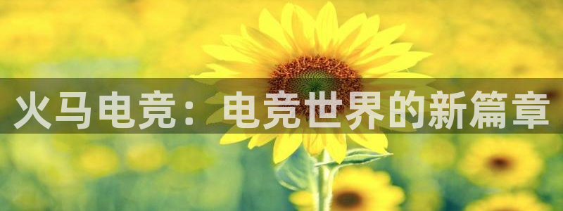 多宝电竞官网