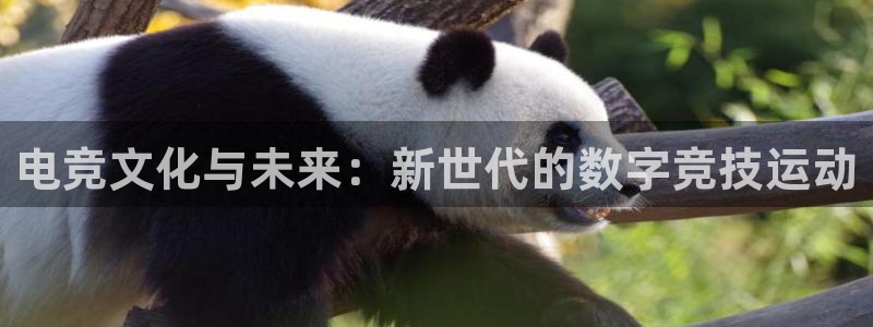 多宝电竞