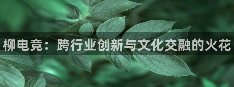 多宝电竞下载