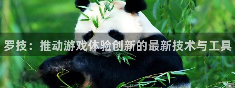 DB多宝电竞：罗技：推动游戏体验创新的最新技术与工具