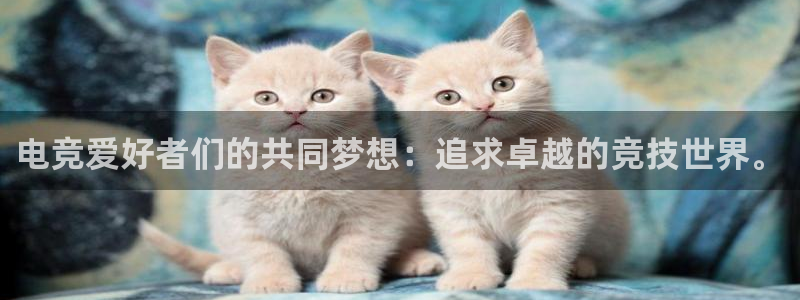 多宝电竞入口
