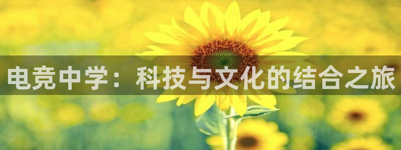 多宝电竞|welcome：电竞中学：科技与文化的结合之旅