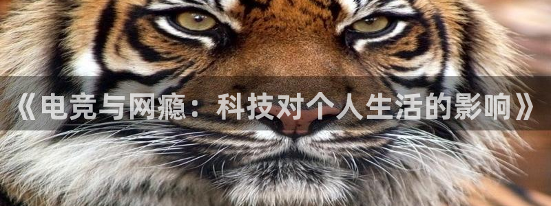 多宝电竞下载：《电竞与网瘾：科技对个人生活的影响》