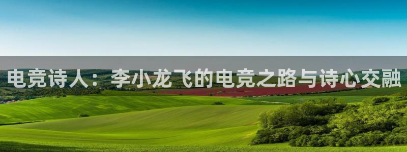 多宝电竞下载：电竞诗人：李小龙飞的电竞之路与诗心交融