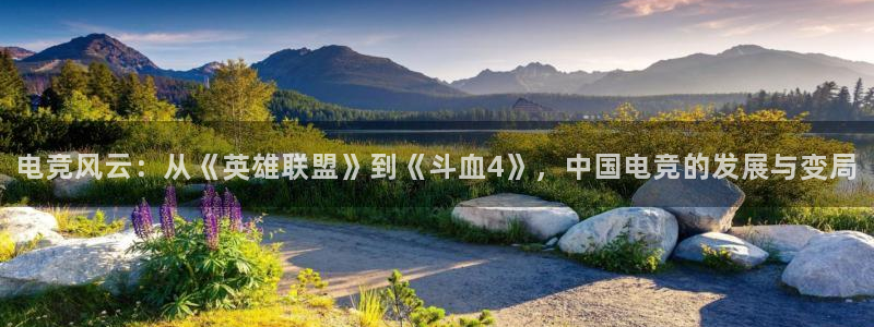 多宝电竞下载：电竞风云：从《英雄联盟》到《斗血4》，中国电竞的发展与变局