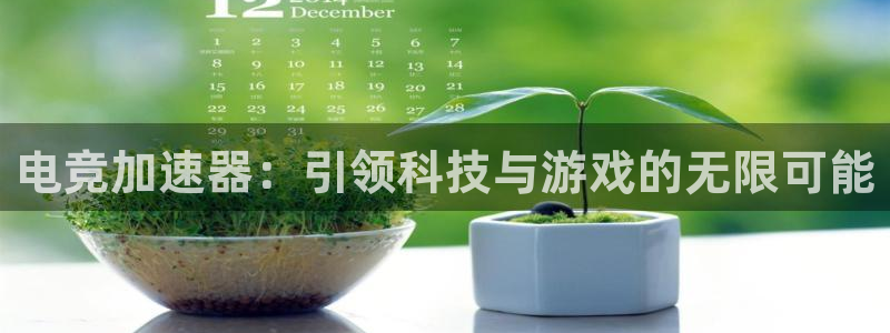 多宝电竞有名嘛：电竞加速器：引领科技与游戏的无限可能