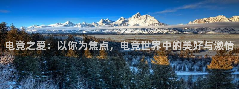多宝电竞平台：电竞之爱：以你为焦点，电竞世界中的美好与激情