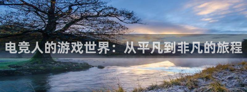 多宝电竞：电竞人的游戏世界：从平凡到非凡的旅程