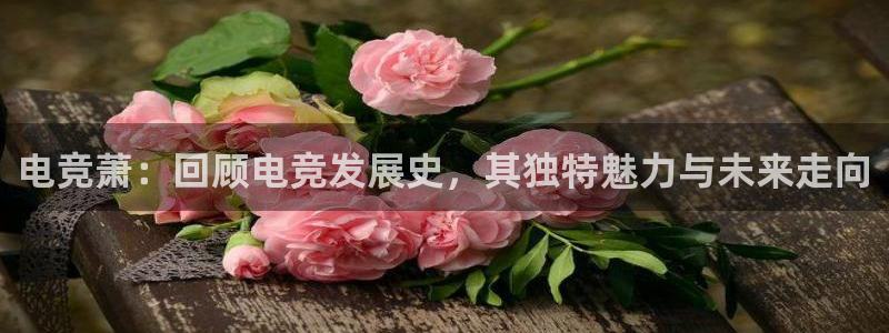 多宝电竞有名嘛：电竞萧：回顾电竞发展史，其独特魅力与未来走向