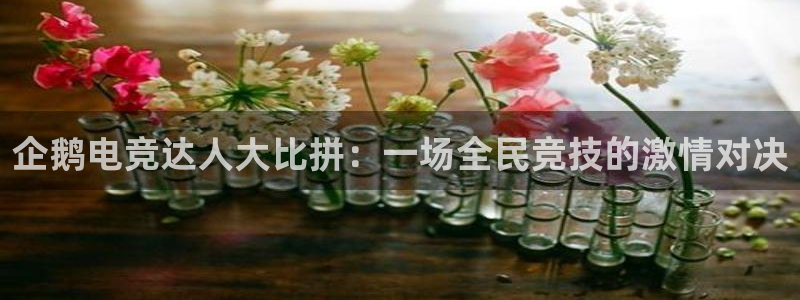 多宝电竞：企鹅电竞达人大比拼：一场全民竞技的激情对决