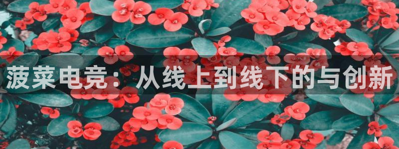 多宝电竞有名嘛：菠菜电竞：从线上到线下的与创新