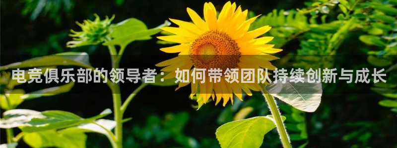 多宝电竞入口