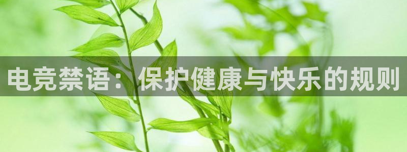 多宝电竞：电竞禁语：保护健康与快乐的规则